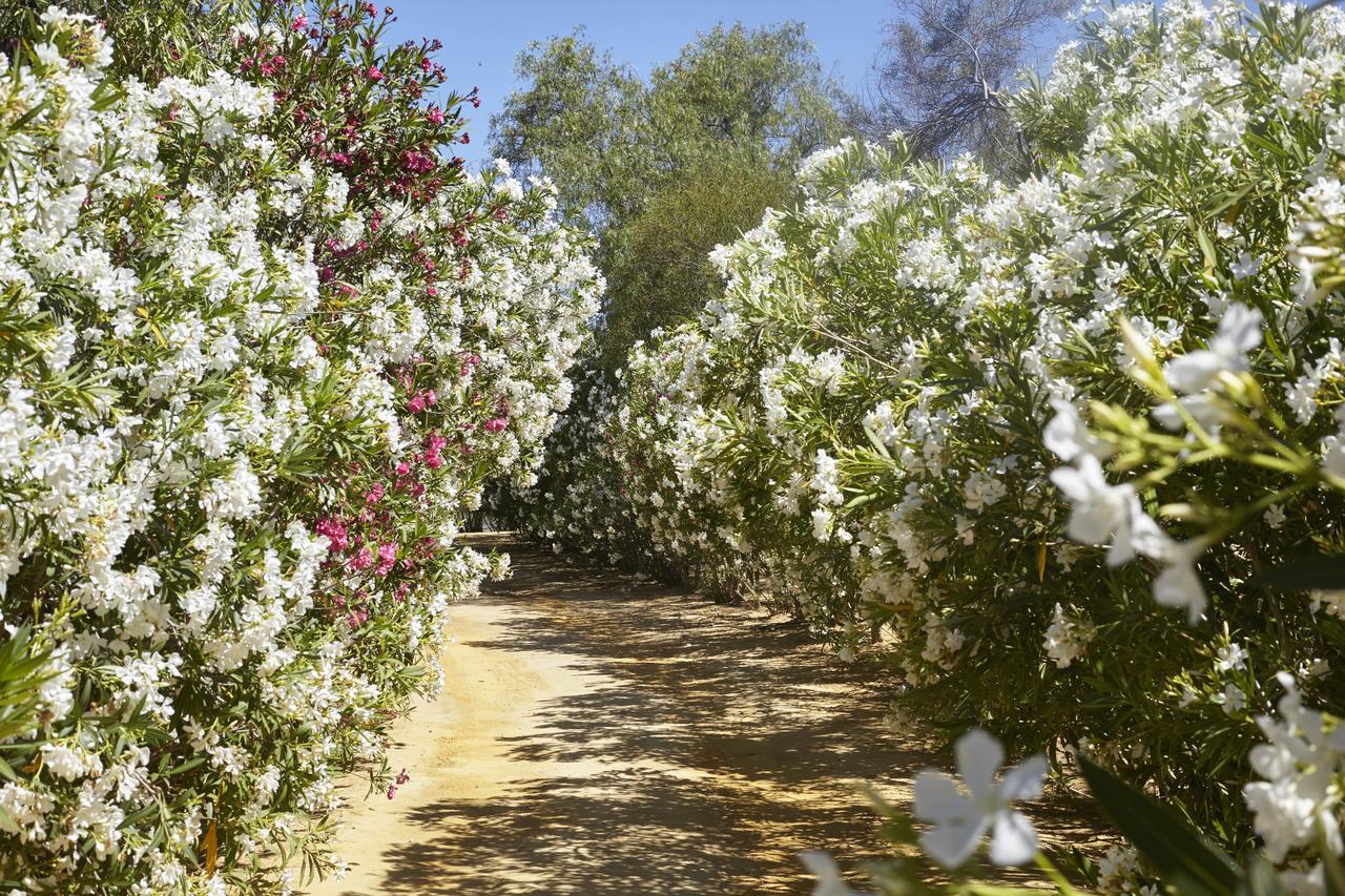 Hacienda De San Rafael Otel Las Cabezas de San Juan Dış mekan fotoğraf