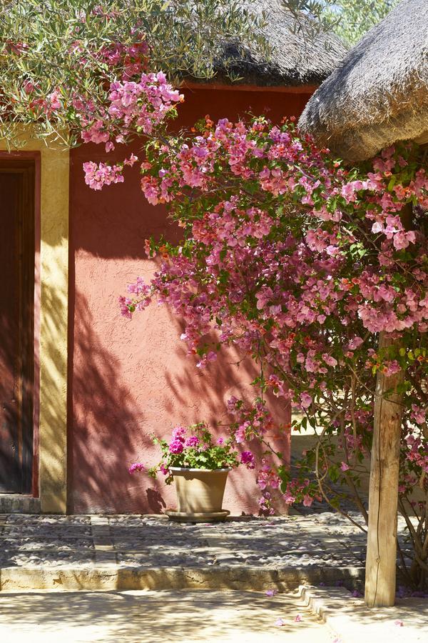 Hacienda De San Rafael Otel Las Cabezas de San Juan Dış mekan fotoğraf